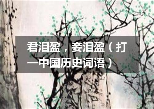 君泪盈，妾泪盈（打一中国历史词语）