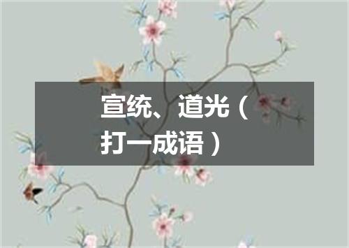 宣统、道光（打一成语）