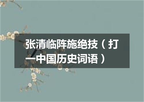 张清临阵施绝技（打一中国历史词语）