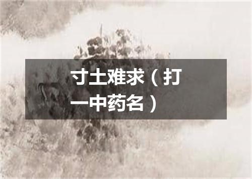 寸土难求（打一中药名）