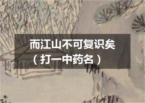 而江山不可复识矣（打一中药名）