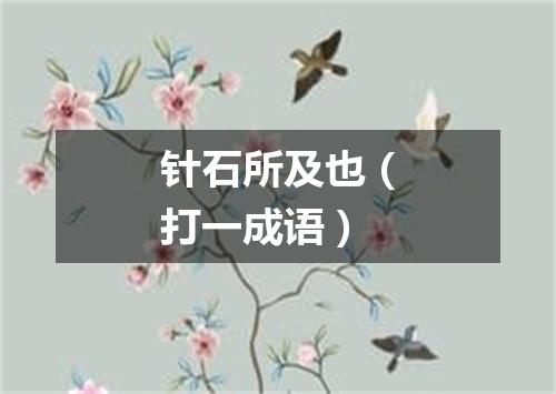 针石所及也（打一成语）