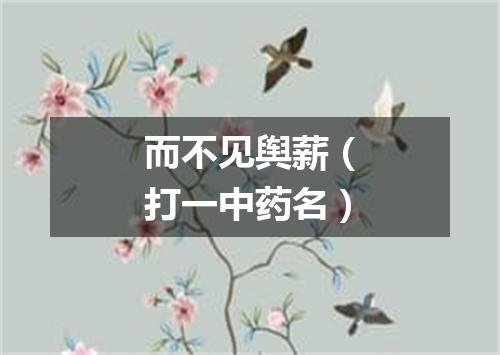 而不见舆薪（打一中药名）