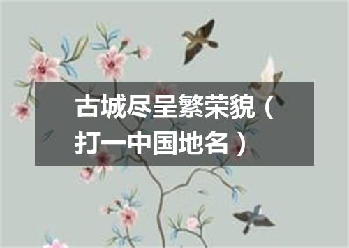 古城尽呈繁荣貌（打一中国地名）