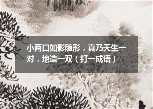 小两口如影随形，真乃天生一对，地造一双（打一成语）
