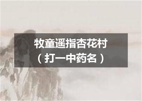 牧童遥指杏花村（打一中药名）