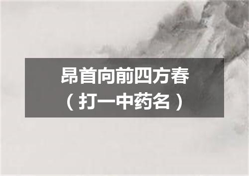 昂首向前四方春（打一中药名）