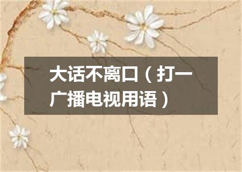 大话不离口（打一广播电视用语）