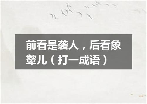 前看是袭人，后看象颦儿（打一成语）