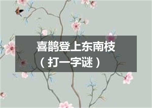喜鹊登上东南枝（打一字谜）