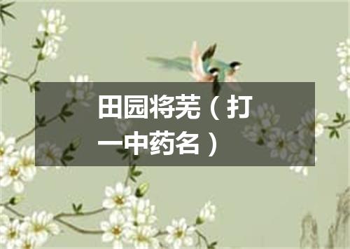 田园将芜（打一中药名）