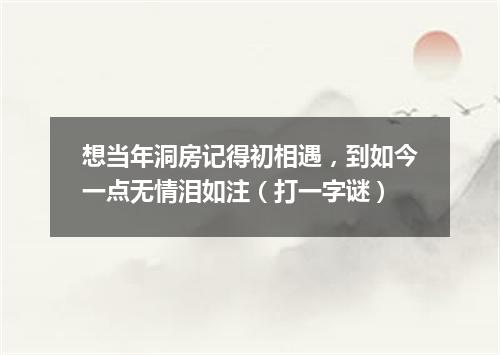 想当年洞房记得初相遇，到如今一点无情泪如注（打一字谜）