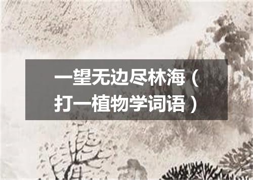 一望无边尽林海（打一植物学词语）