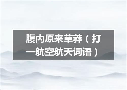 腹内原来草莽（打一航空航天词语）