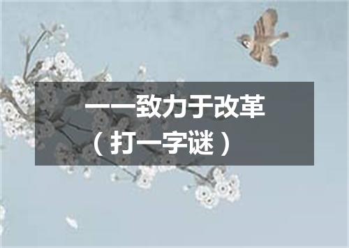 一一致力于改革（打一字谜）