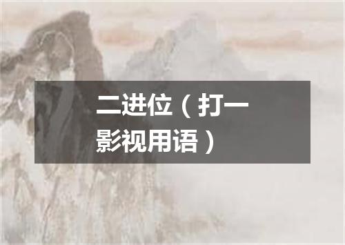 二进位（打一影视用语）