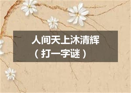 人间天上沐清辉（打一字谜）