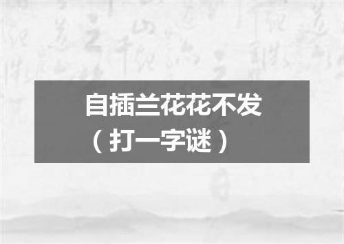 自插兰花花不发（打一字谜）