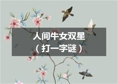 人间牛女双星（打一字谜）