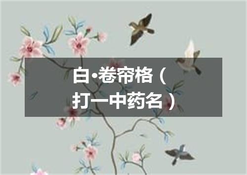 白·卷帘格（打一中药名）