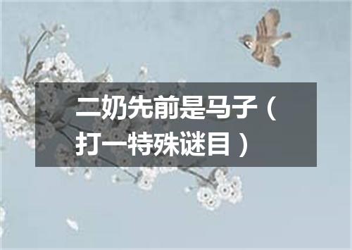 二奶先前是马子（打一特殊谜目）