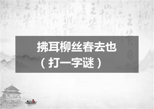 拂耳柳丝春去也（打一字谜）