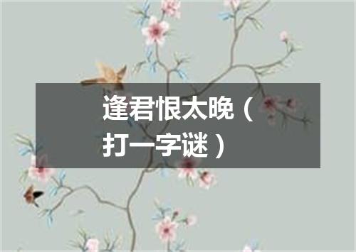 逢君恨太晚（打一字谜）