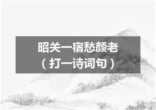 昭关一宿愁颜老（打一诗词句）