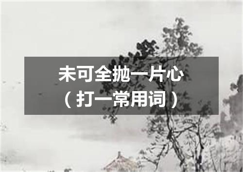 未可全抛一片心（打一常用词）
