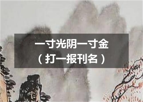 一寸光阴一寸金（打一报刊名）