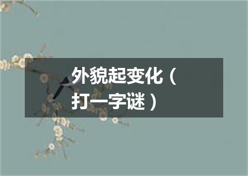 外貌起变化（打一字谜）