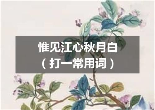 惟见江心秋月白（打一常用词）