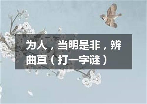 为人，当明是非，辨曲直（打一字谜）