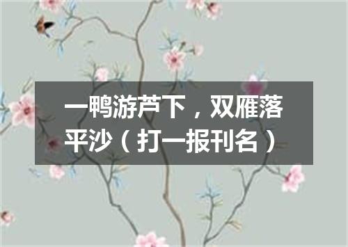 一鸭游芦下，双雁落平沙（打一报刊名）