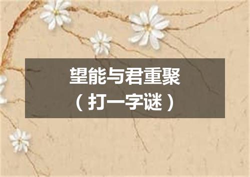 望能与君重聚（打一字谜）