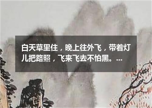 白天草里住，晚上往外飞，带着灯儿把路照，飞来飞去不怕黑。（打一动物）