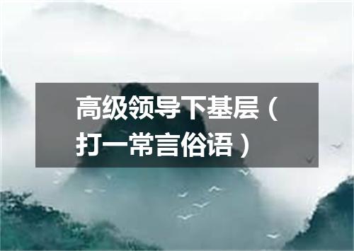 高级领导下基层（打一常言俗语）