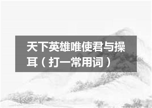 天下英雄唯使君与操耳（打一常用词）