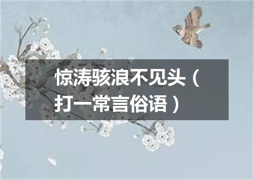 惊涛骇浪不见头（打一常言俗语）