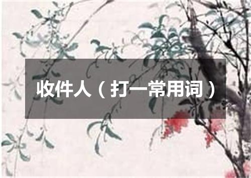 收件人（打一常用词）