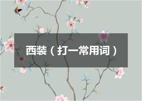 西装（打一常用词）