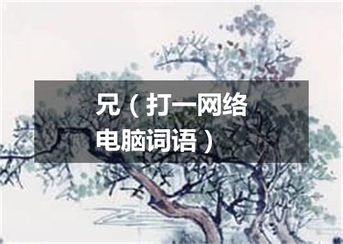 兄（打一网络电脑词语）