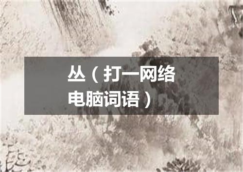 丛（打一网络电脑词语）