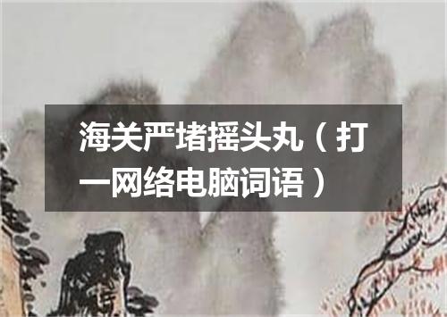 海关严堵摇头丸（打一网络电脑词语）