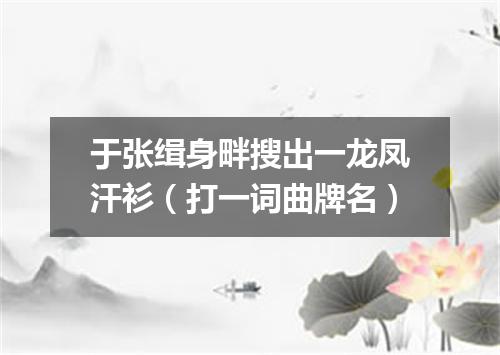 于张缉身畔搜出一龙凤汗衫（打一词曲牌名）