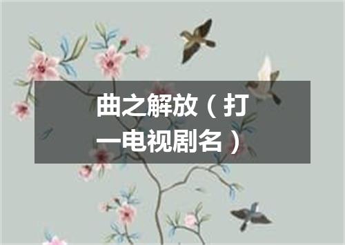 曲之解放（打一电视剧名）