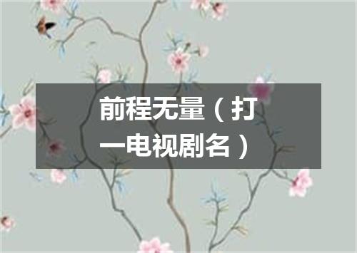 前程无量（打一电视剧名）