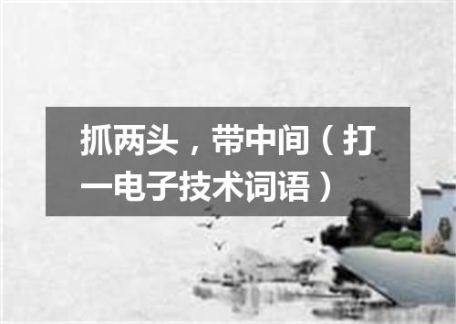 抓两头，带中间（打一电子技术词语）