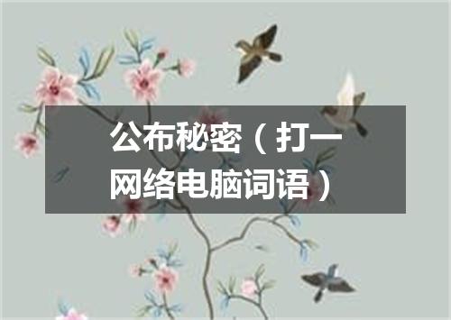 公布秘密（打一网络电脑词语）