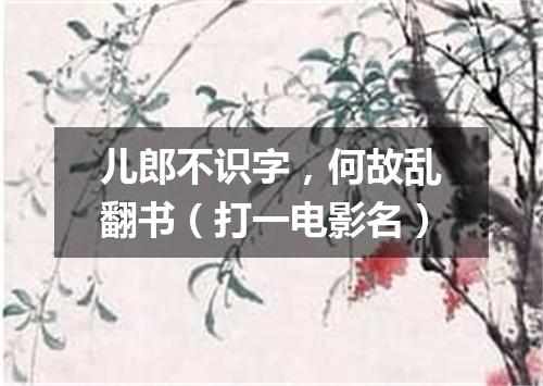 儿郎不识字，何故乱翻书（打一电影名）